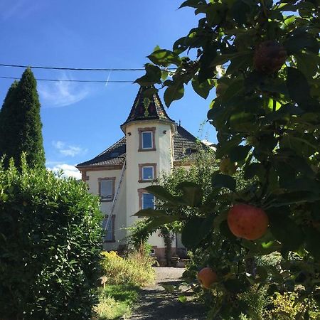 L'Aromeantic Apartment Rothau Luaran gambar